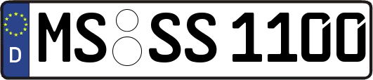 MS-SS1100