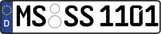 MS-SS1101
