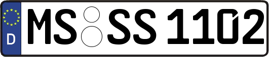 MS-SS1102