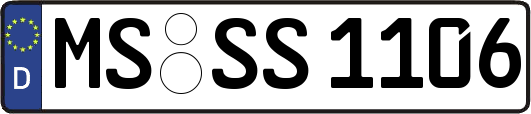 MS-SS1106