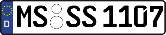 MS-SS1107