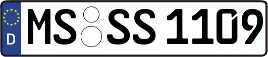 MS-SS1109