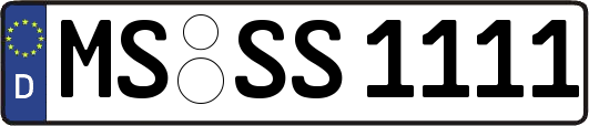 MS-SS1111