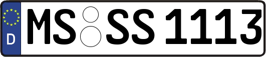 MS-SS1113