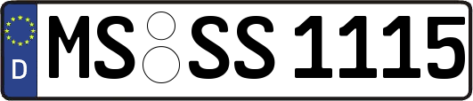 MS-SS1115