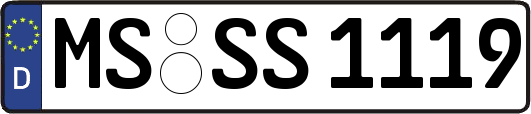 MS-SS1119