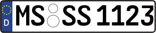 MS-SS1123