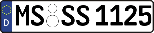 MS-SS1125