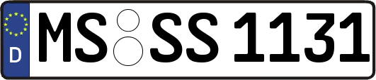 MS-SS1131
