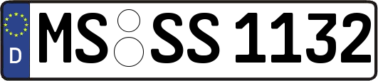 MS-SS1132