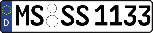 MS-SS1133