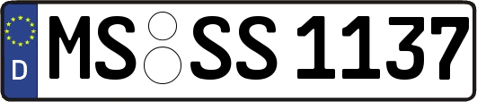 MS-SS1137