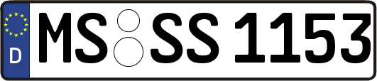 MS-SS1153