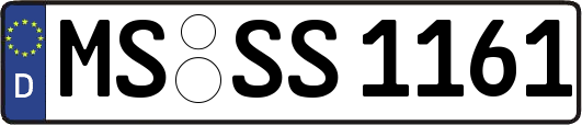 MS-SS1161