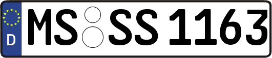 MS-SS1163
