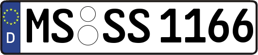 MS-SS1166