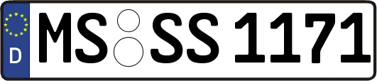 MS-SS1171