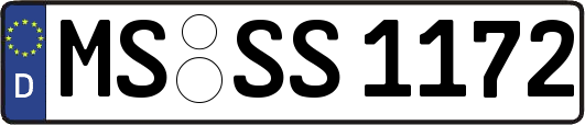 MS-SS1172