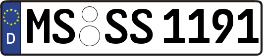 MS-SS1191
