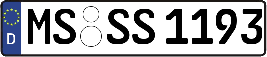 MS-SS1193