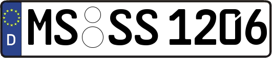 MS-SS1206