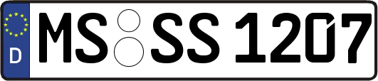MS-SS1207
