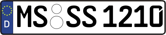 MS-SS1210