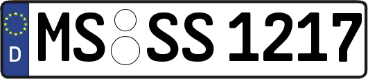 MS-SS1217