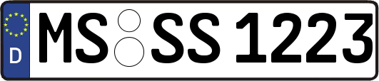 MS-SS1223