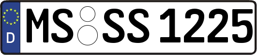MS-SS1225