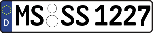 MS-SS1227