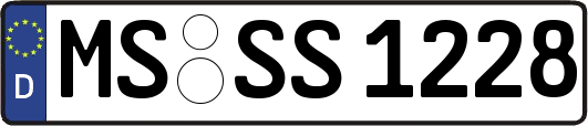 MS-SS1228