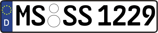 MS-SS1229