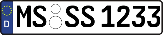 MS-SS1233