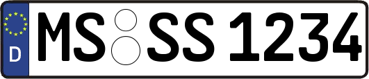 MS-SS1234