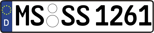 MS-SS1261