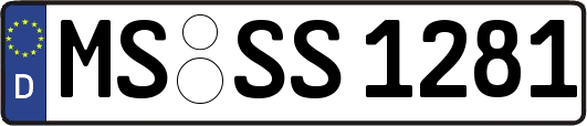 MS-SS1281