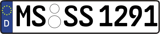 MS-SS1291