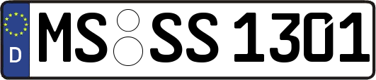 MS-SS1301