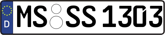 MS-SS1303