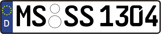 MS-SS1304