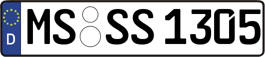 MS-SS1305