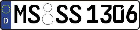 MS-SS1306