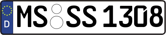 MS-SS1308