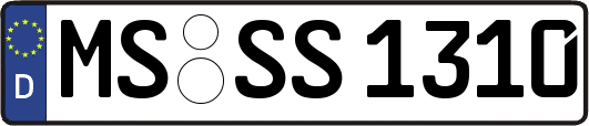 MS-SS1310