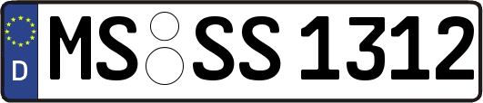 MS-SS1312
