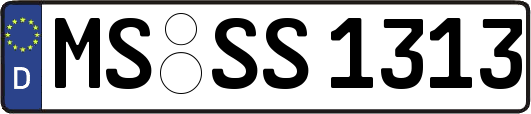 MS-SS1313