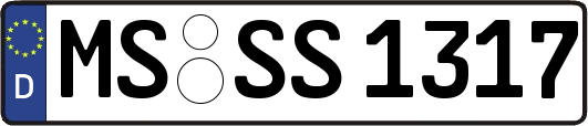 MS-SS1317