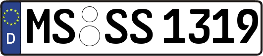 MS-SS1319