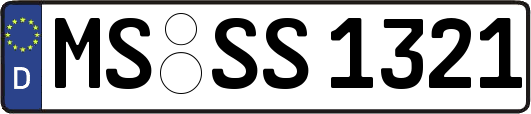 MS-SS1321